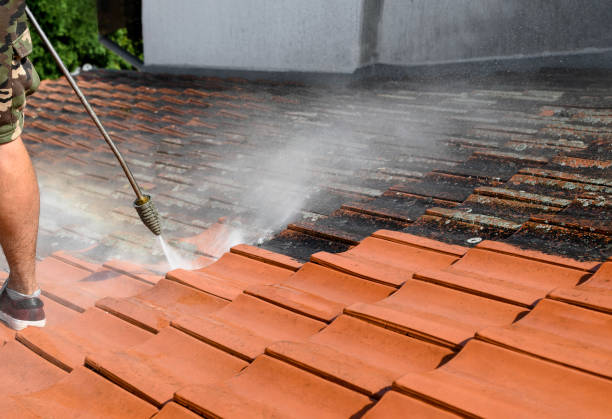 Best Power Washing Near Me  in Coushatta, LA